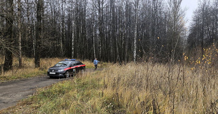 Убийство в ярославской лесопосадке раскрыли спустя восемь лет
