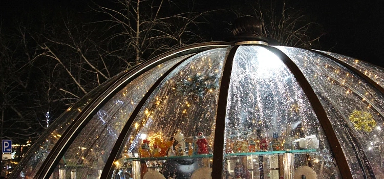 Ярославль в блеске новогодних огней: путешествие по зимней сказке_309193