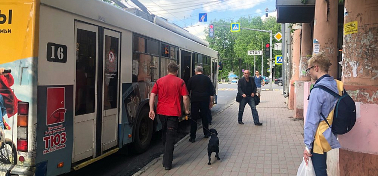 Ярославль поднялся в рейтинге качества общественного транспорта