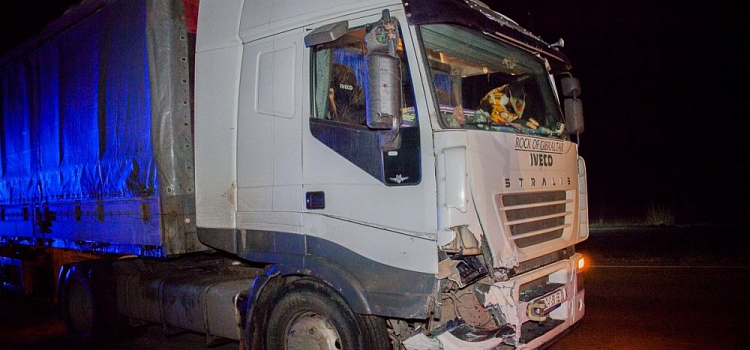 На трассе М-8 фура врезалась в стадо кабанов: погибли двое
