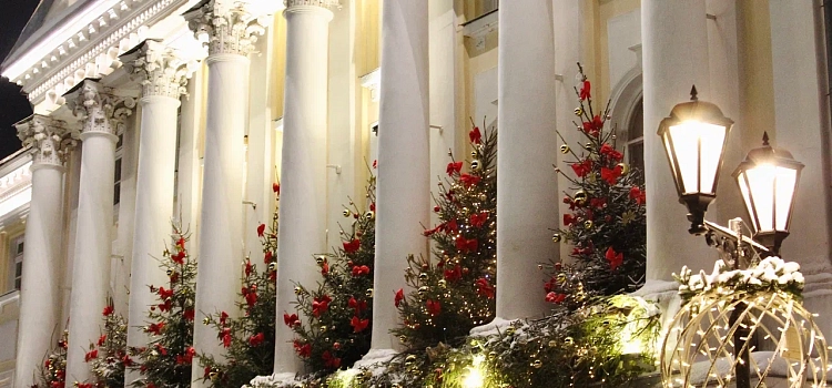 Ярославль в блеске новогодних огней: путешествие по зимней сказке_309194