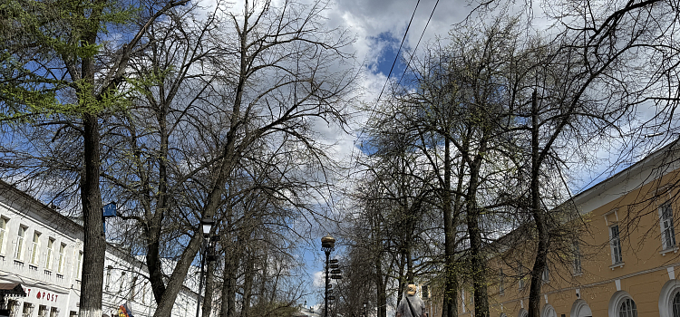 В Ярославле расширили зону бесплатного Wi-Fi_315697