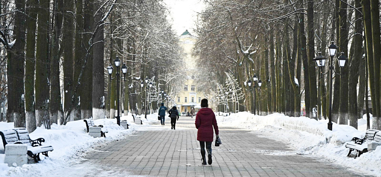 Крещенские морозы Ярославль обойдут стороной