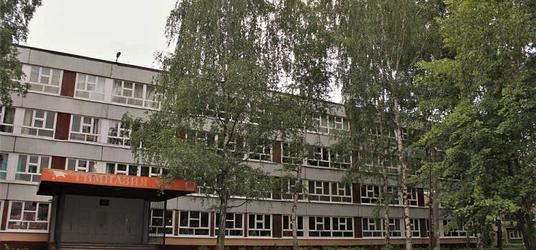 Дистант или маски: какие ковидные ограничения будут действовать в ярославских школах