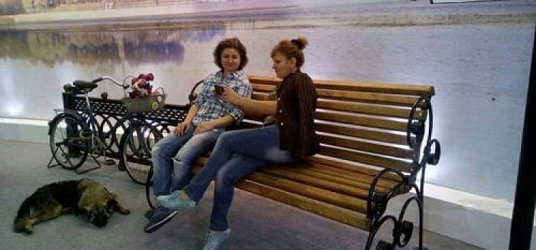 На выставке «Отдых» Ярославская область отмечена двумя дипломами