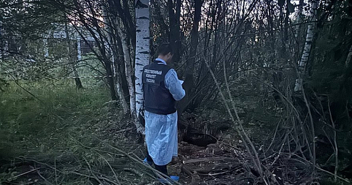 Глава Борисоглебского поселения, осуждённая по делу о гибели ребёнка в открытом колодце, обжаловала приговор