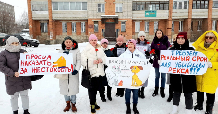 В Ярославской области осудили мужчину за зверское убийство собаки