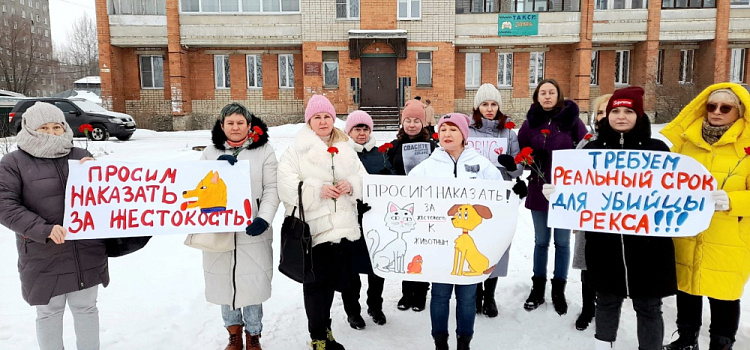 В Ярославской области осудили мужчину за зверское убийство собаки