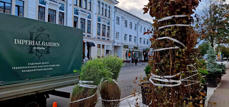 На улице Андропова в Ярославле вводят новое ограничение движения