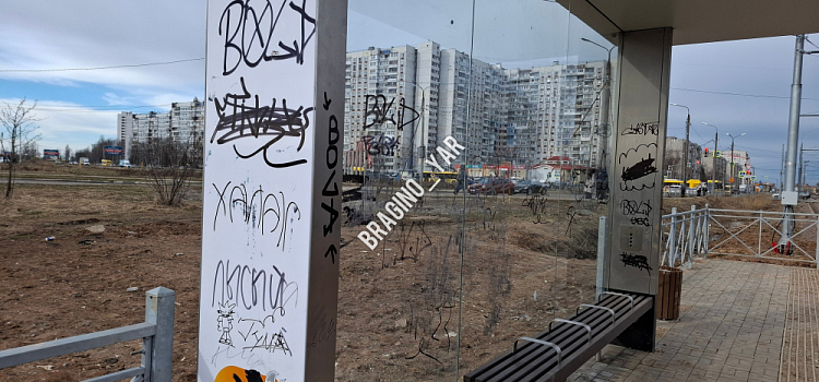 Ярославцы просят защитить новые остановки от малолетних вандалов