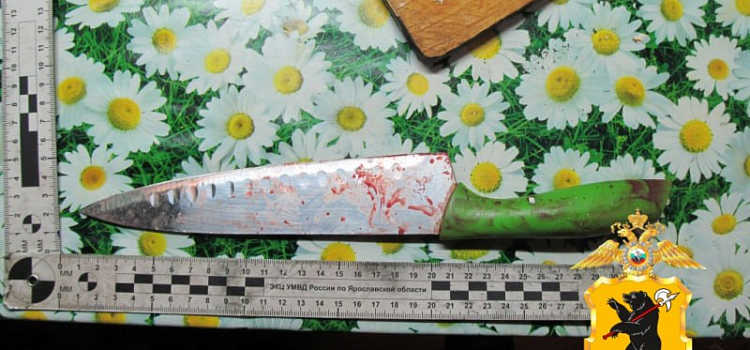 В Заволжском районе Ярославля мужчина ударил товарища ножом в шею