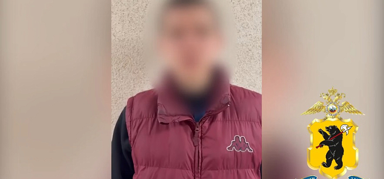 В Ярославле задержали ещё двух участников драки в ТЦ