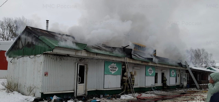 В Гаврилов-Яме при пожаре в магазине автозапчастей погиб мужчина_288772