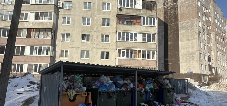 Прокуратура нашла в Ярославле нарушения требований к вывозу мусора