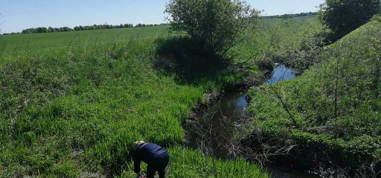 Вода в реке Норе у полигона «Скоково» в норме — правительство области