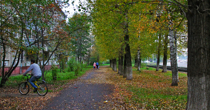 Отошёл на минутку: в Дзержинском районе Ярославля у рыбака украли рюкзак
