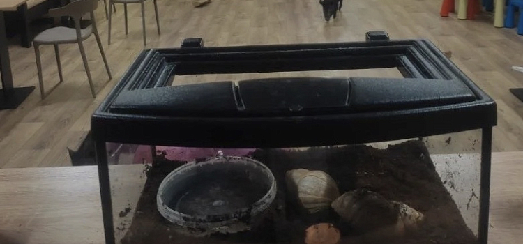 Ни отдыха, ни обеда: на ярославское антикафе подали жалобу