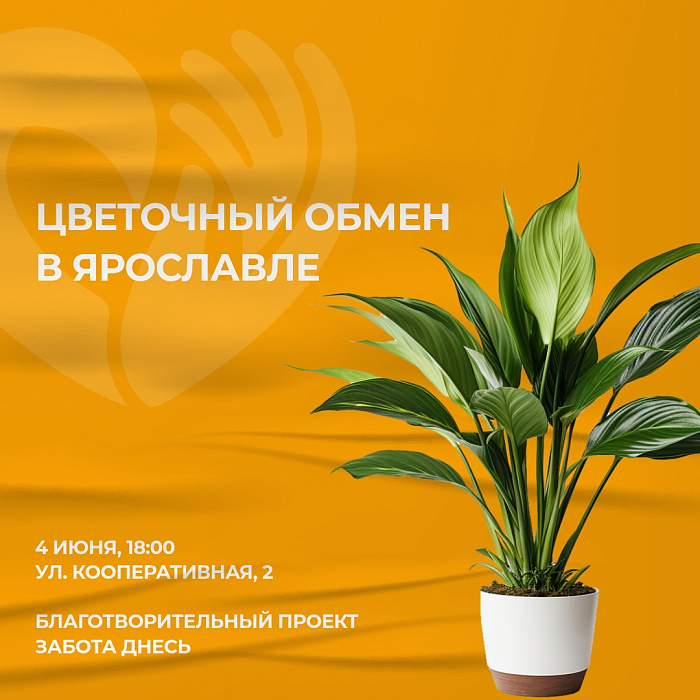 Ярославцев приглашают на благотворительный обмен комнатными цветами