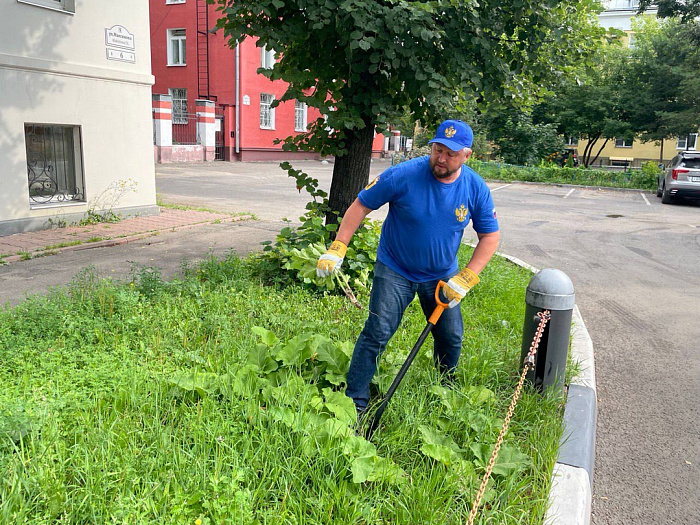Растет даже в центре города: детский омбудсмен вышел на борьбу с борщевиком в Ярославле