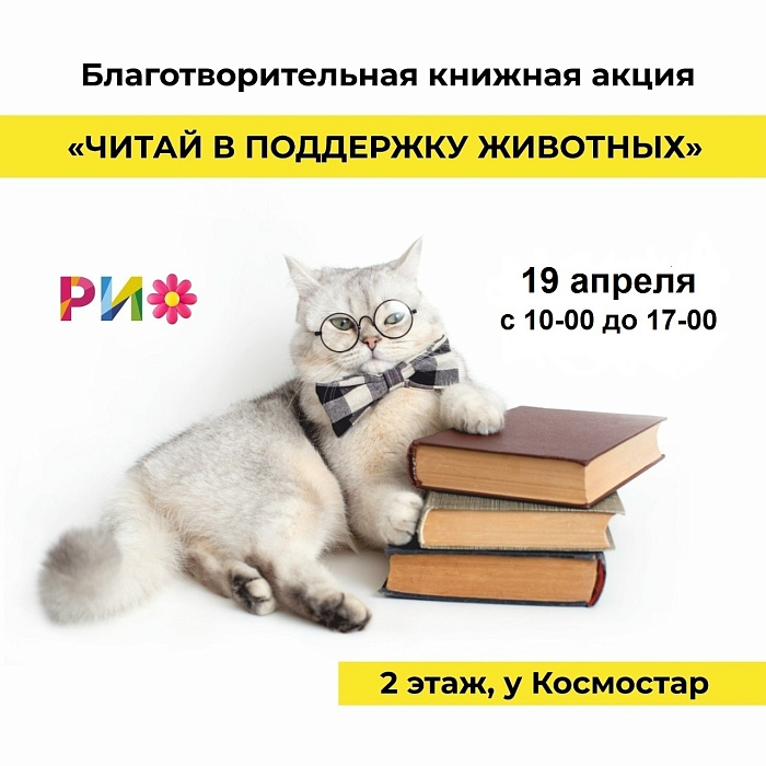 В Ярославле пройдёт большая книжная ярмарка в помощь бездомным кошкам