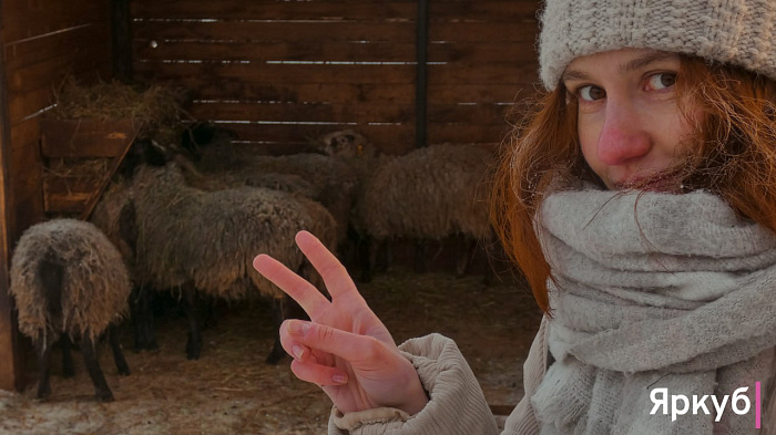 Ледяные забавы в Ярославском зоопарке: морозный фоторепортаж