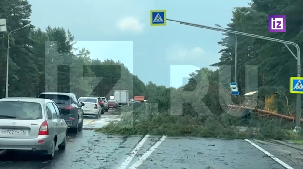 Автомобили в кювете и вырванные деревья: под Ярославлем разбушевался сильный ураган вблизи аэропорта