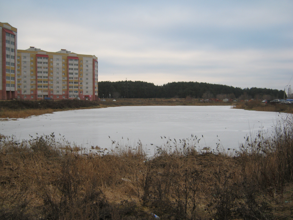 Морозно, но без снега: в Ярославль придет нестандартная метеорологическая зима