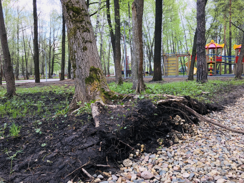В Ярославле после некачественного благоустройства парка пропал почти миллион рублей