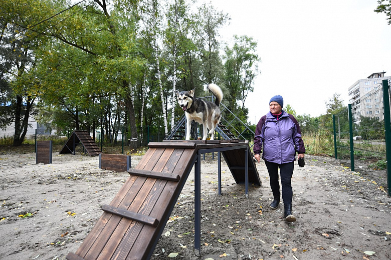 В Дзержинском районе Ярославля открыли новые специализированные площадки для животных