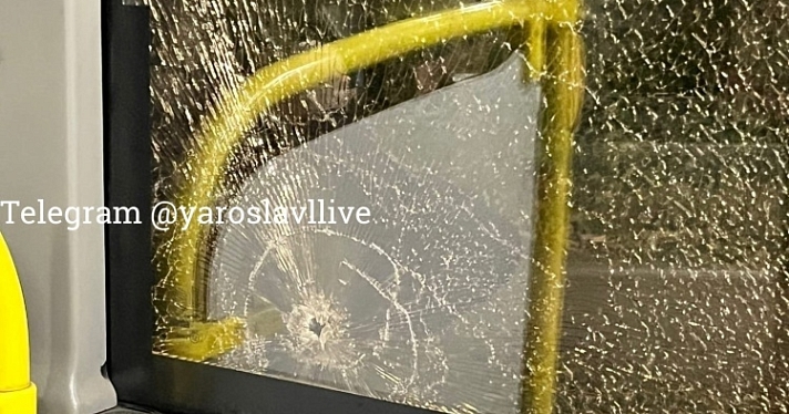 В Ярославле полицейские поймали подростков, которые могли закидать автобус камнями