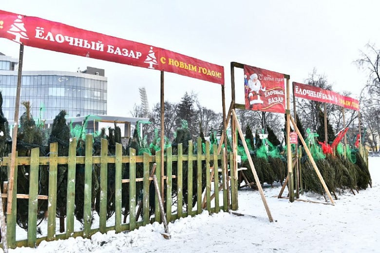 Праздник приходит: в Ярославле начали установку новогодних елей