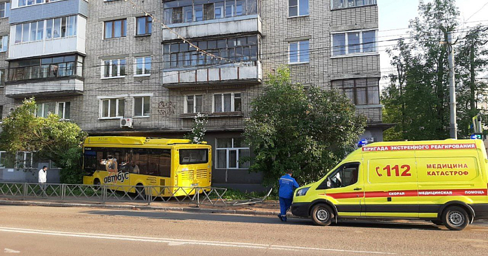 В Ярославле автобус сбил дорожное ограждение и протаранил дерево_241640