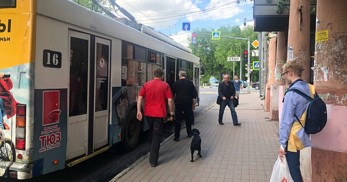 В Ярославской области изменится движение общественного транспорта: дата и причина