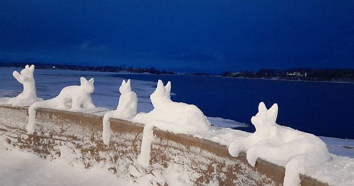 В Рыбинске поселились разноцветные коты из снега_261068