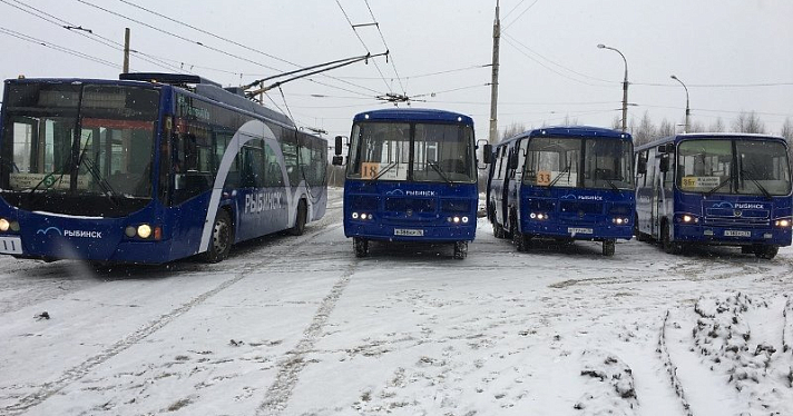 В Рыбинске появился брендированный общественный транспорт. Фото_169549