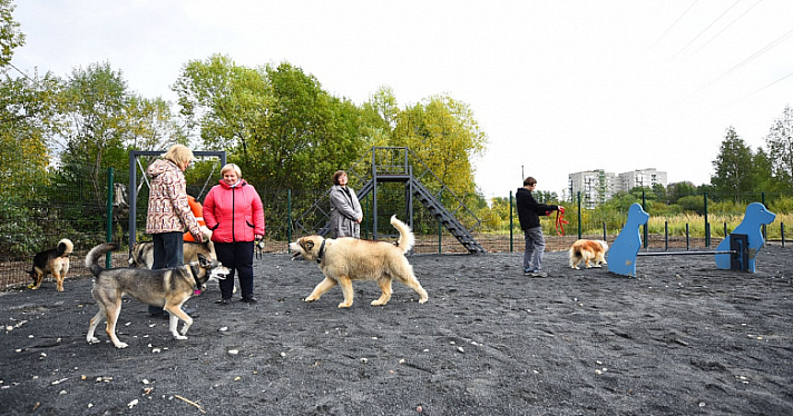 В Дзержинском районе Ярославля открыли новые специализированные площадки для животных_221412