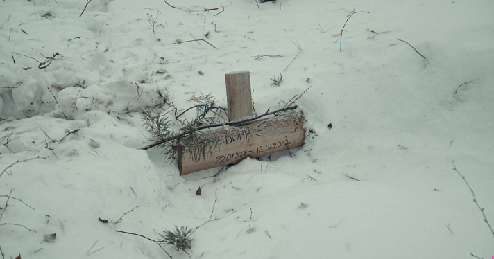 Здесь покоится Барсик: жители Ярославской области боятся, что кладбище домашних животных исчезнет из-за вырубки леса_232085