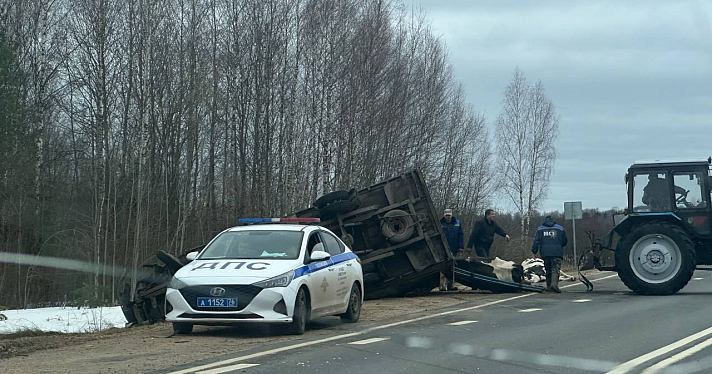 Животные погибли: в Ярославской области опрокинулся фургон, перевозивший коров_269056