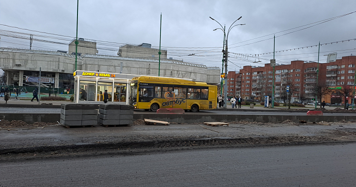 На улице Свободы в Ярославле может появиться клумба посреди дороги_256688
