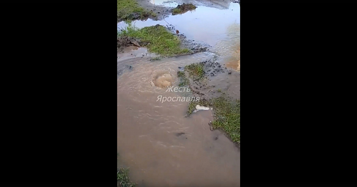 «Прорвало трубу»: на Суздальском шоссе в Ярославле затопило частный сектор_242954