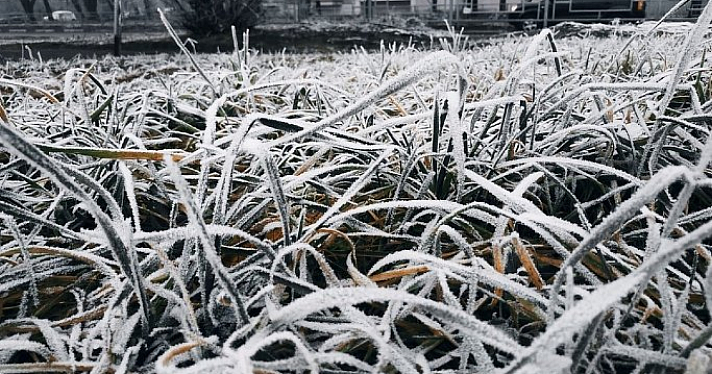 В региональном МЧС предупредили ярославцев о приближающихся заморозках
