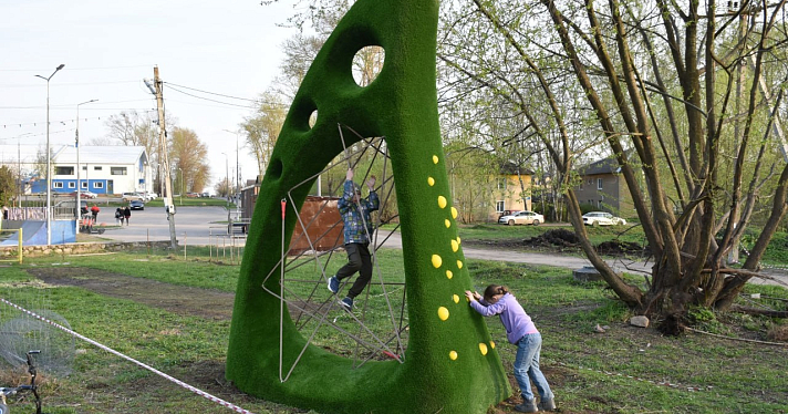 В Переславском парке установили скульптуры из кустарников_271116