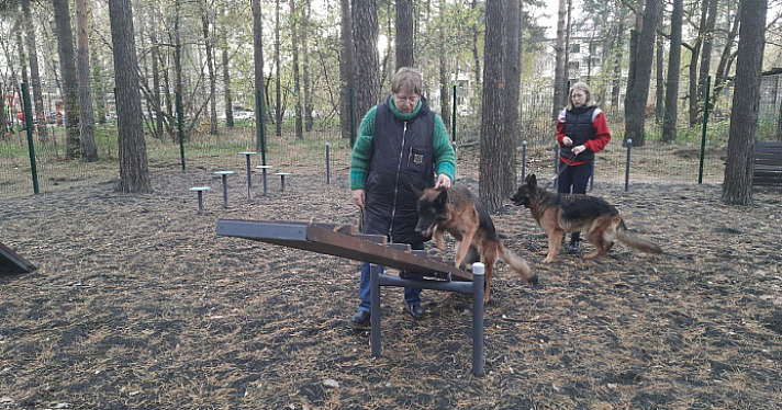 В Заволжском районе Ярославля открыли еще одну площадку для собак_222752