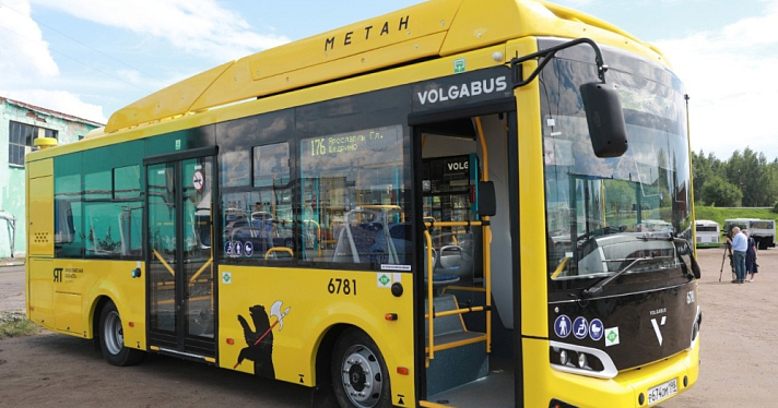 В Ярославль поступили недостающие желтые автобусы