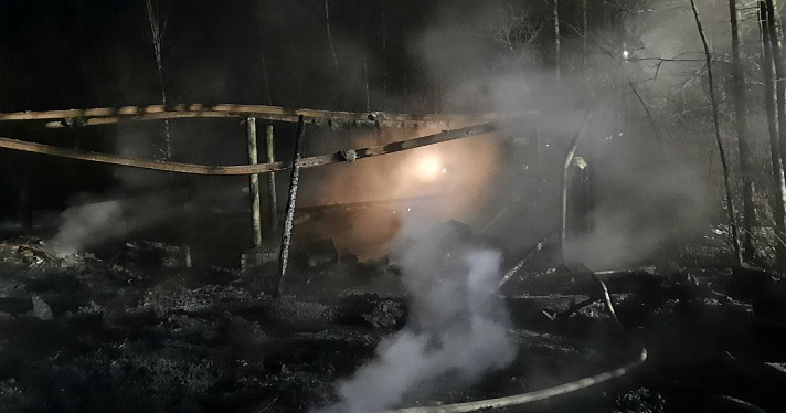Под Ярославлем при пожаре на производстве угля погибли люди_259096