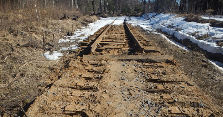Под Ярославлем с железной дороги украли более 400 метров рельсов_270598