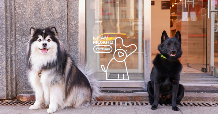 МТС открыла свои магазины для ярославцев с домашними животными