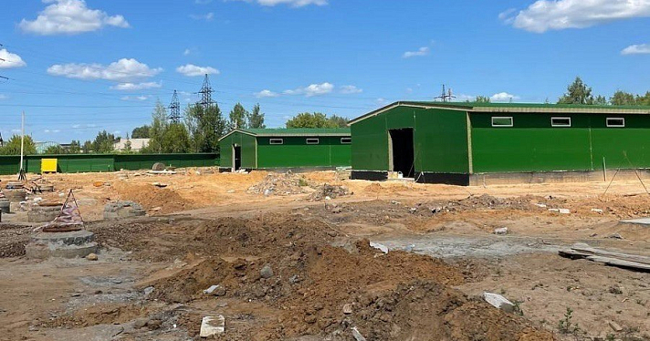 Стало известно, когда в Ярославле откроют новый приют для бездомных животных