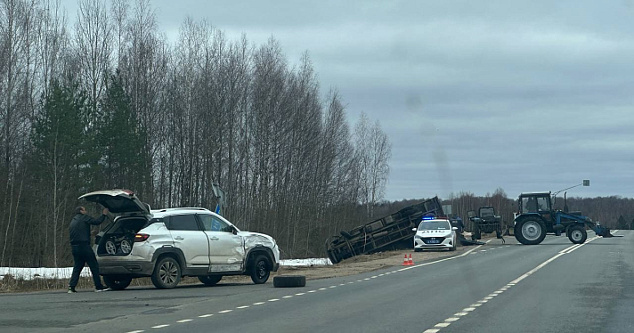Животные погибли: в Ярославской области опрокинулся фургон, перевозивший коров_269055