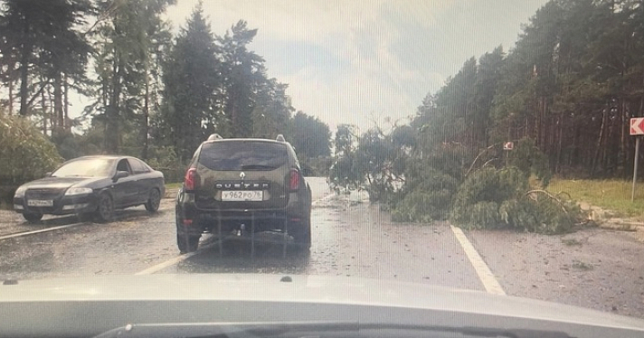 Автомобили в кювете и вырванные деревья: под Ярославлем разбушевался сильный ураган вблизи аэропорта_245501